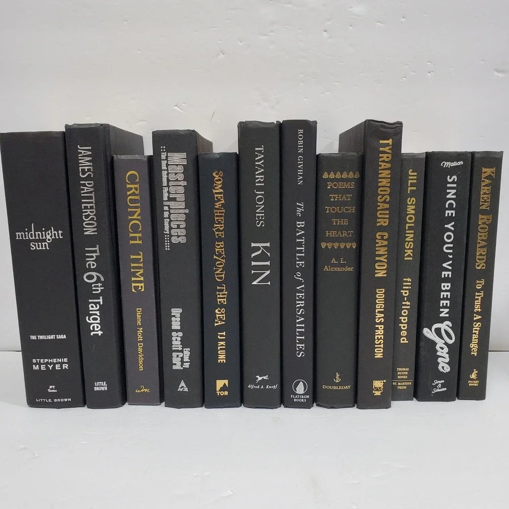 Shelf Staging Library Modern Decorative Black Silver Hardcover Books Set Lot 12
